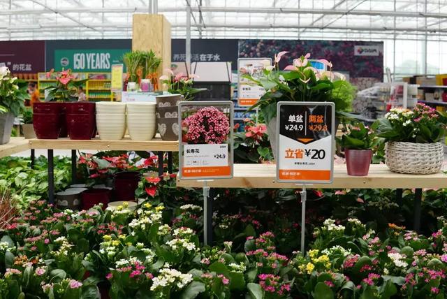 园艺批发市场，这个园艺市场本周末放大招