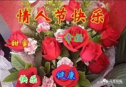 情人节送什么明天情人节，99玫瑰送给群里朋友，祝你们情人节快乐，永远健康