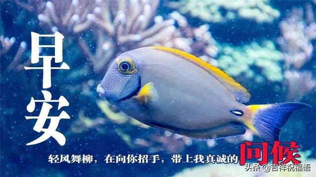 周二清晨微信群发早上好温馨问候语句，早晨最美早安祝福短信句子