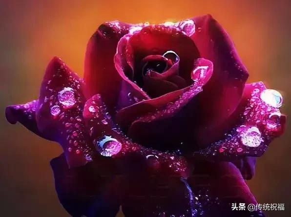 今年情人节流行送什么明日七夕情人节，999999玫瑰花送给群里所有朋友！谁打开