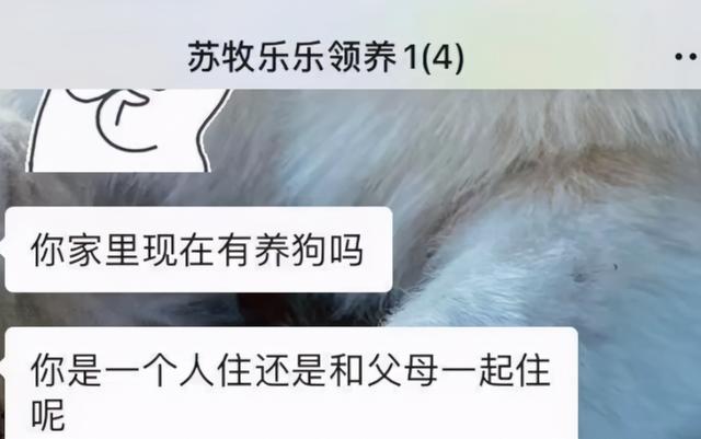 撿到一隻流浪狗，7個月無人領養，最後居然被一位明星看上了 萌趣萌寵 第3张