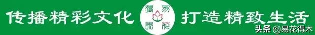 七夕送女朋友什么礼物好最有意义七夕情人节鲜花如何选？掌握这5点就可以买