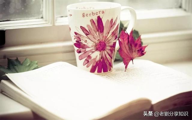 一份礼物拼音,礼物的礼的拼音怎么读