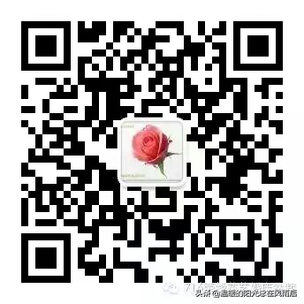 没确定关系第一次约会送啥,第一次送女孩子花送什么花
