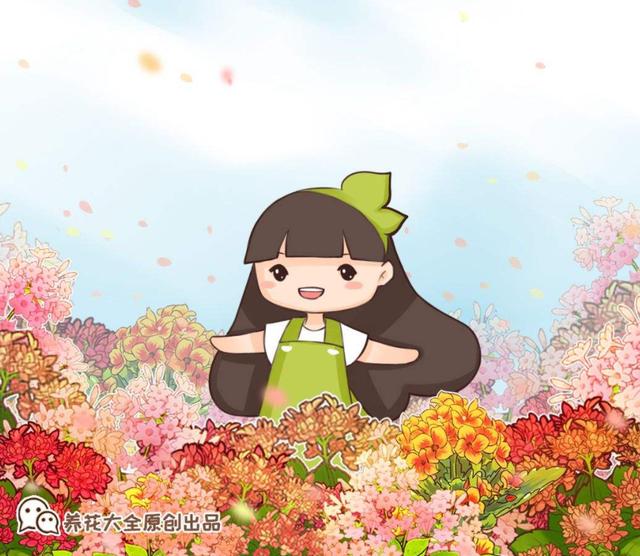 情人节送女孩礼物送花讲究“投其所好”，元旦春节就送它，聪明人都喜欢