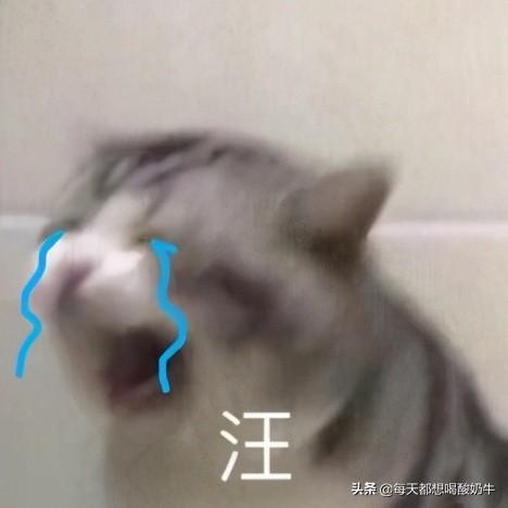 送女生什么礼物可以让她开心很久？ 送什么礼物给女朋友