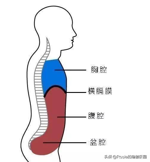 張若昀細腰上熱搜，天冷不想動如何瘦？這樣呼吸輕松瘦出小蠻腰 健身減肥達人 第4张