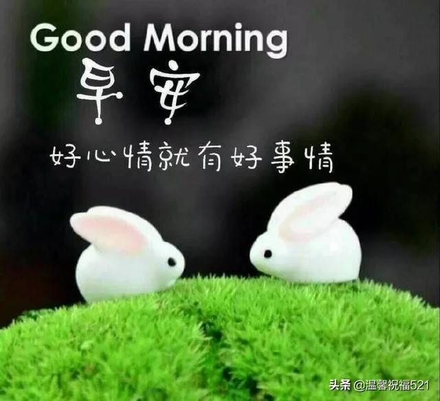 微信群发早上好阳光暖心问候祝福语大全，早上好问候表情图片动态