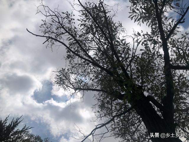 电车 痴汉 漫
