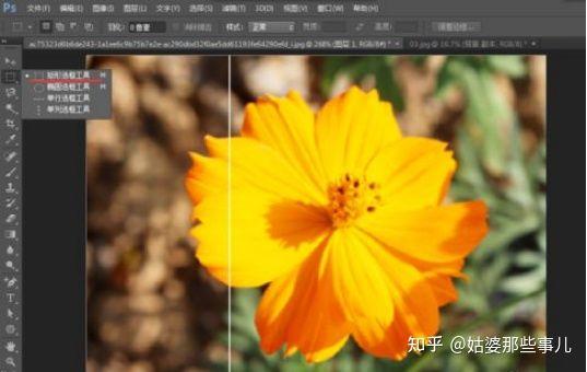photoshop哪个版本最好用（新手下载ps哪个版本好）