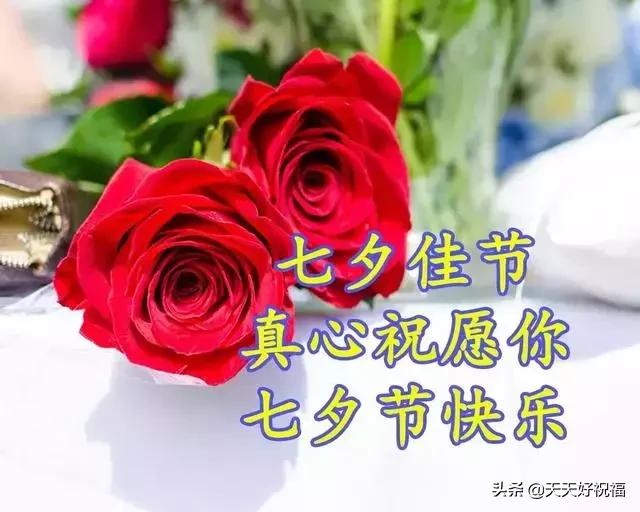 情人节送玫瑰花图片今日七夕情人节，999朵玫瑰送给所有的朋友！祝你节日快乐