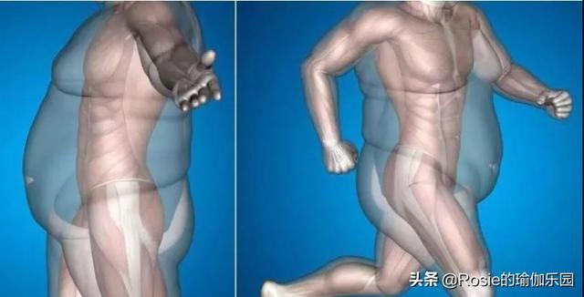 41歲秦嵐戀上小19歲小奶狗？還有56cm小腰？3步解鎖同款小蠻腰 健身減肥達人 第24张