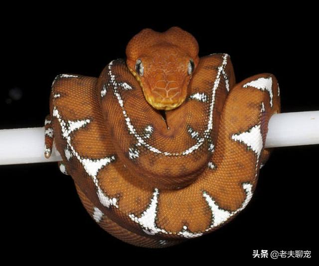 梦见别人吃面条 梦见刮胡子插图16