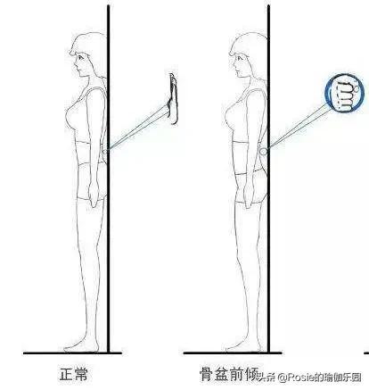 顯胖5斤的小肚子你有嗎？找對成因堅持3步，解鎖喬欣同款好身材 健身減肥達人 第13张