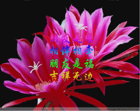 情人节送男友今日情人节，2.14玫瑰送给亲爱的朋友，祝你们情人节快乐