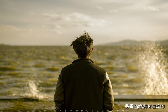 特殊的礼物800字初二,特殊的礼物作文800字记叙文
