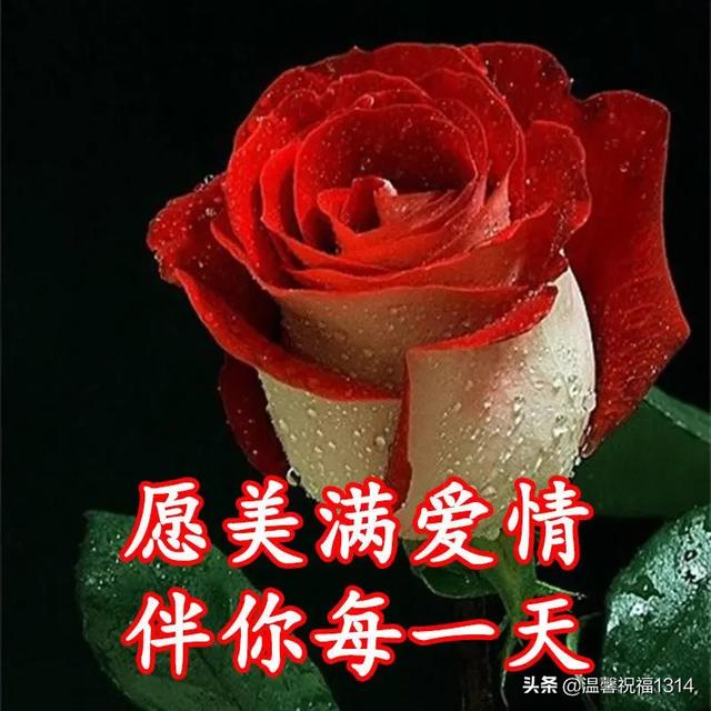 情人节送什么3.14白色情人节到了，送你1314朵玫瑰！祝爱情甜蜜，幸福久久