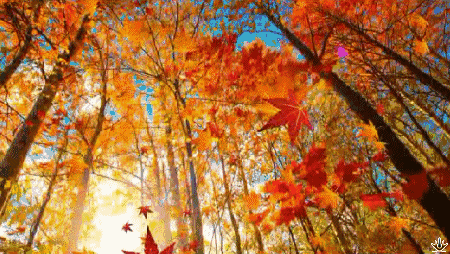 我在摸英语老师的胸好爽