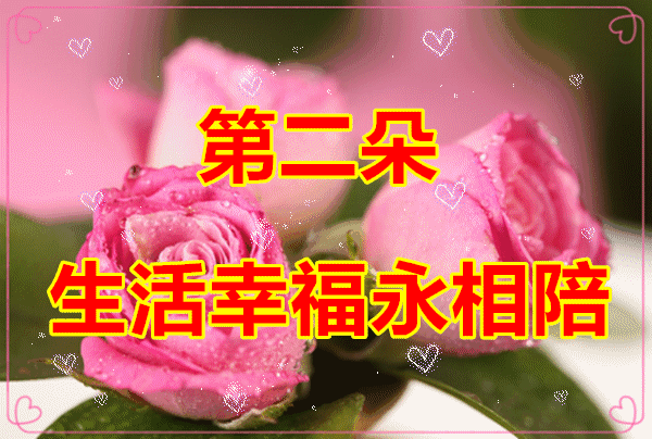 情人节送男朋友什么礼物好今天520情人节，9朵爱的玫瑰送给在乎的你，愿你开