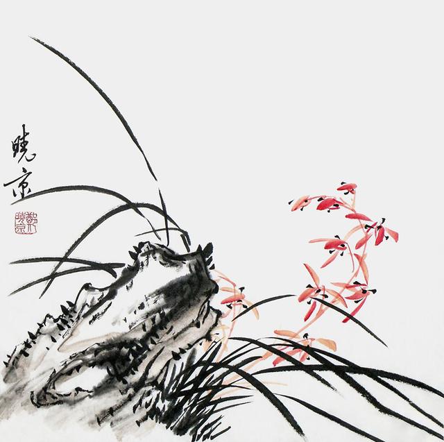 梅兰竹菊的含义，梅兰竹菊分别代表着什么意义（家中养“5种竹”）