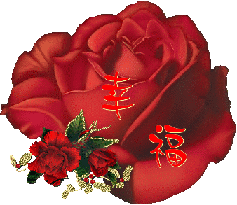 情人节送老公什么今天2.14日情人节，999玫瑰送给所有朋友，祝你们情人节快乐
