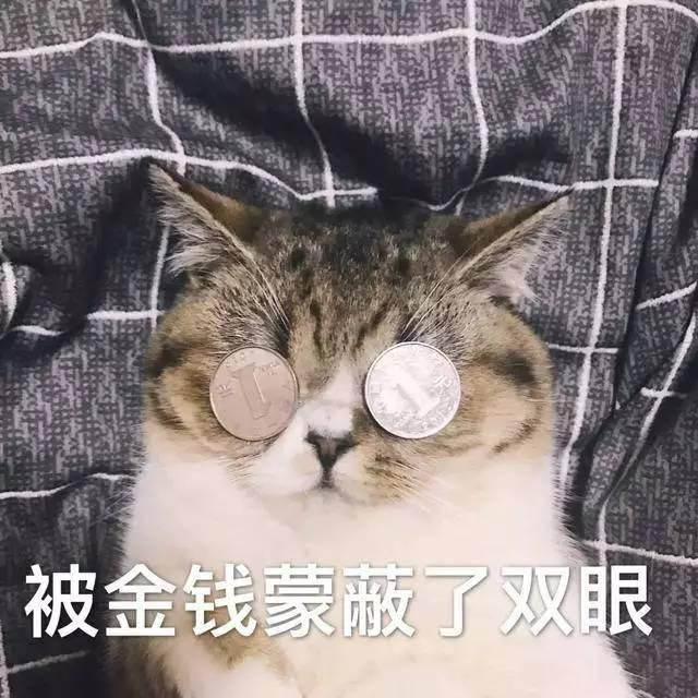 送男友情人节礼物给小10岁的男朋友送了这些情人节礼物，我们结婚了