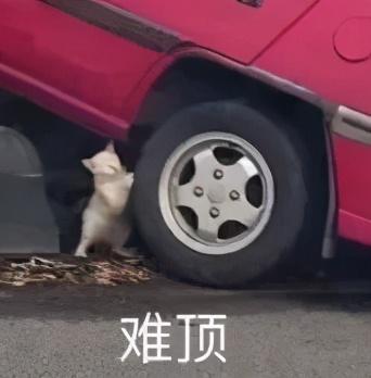 出事海王的終極大瓜來了 娛樂八卦吃瓜 第17张