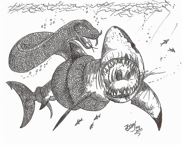 鲨鱼是不是哺乳动物（鲸鱼鲨鱼鳄鱼哪个厉害）