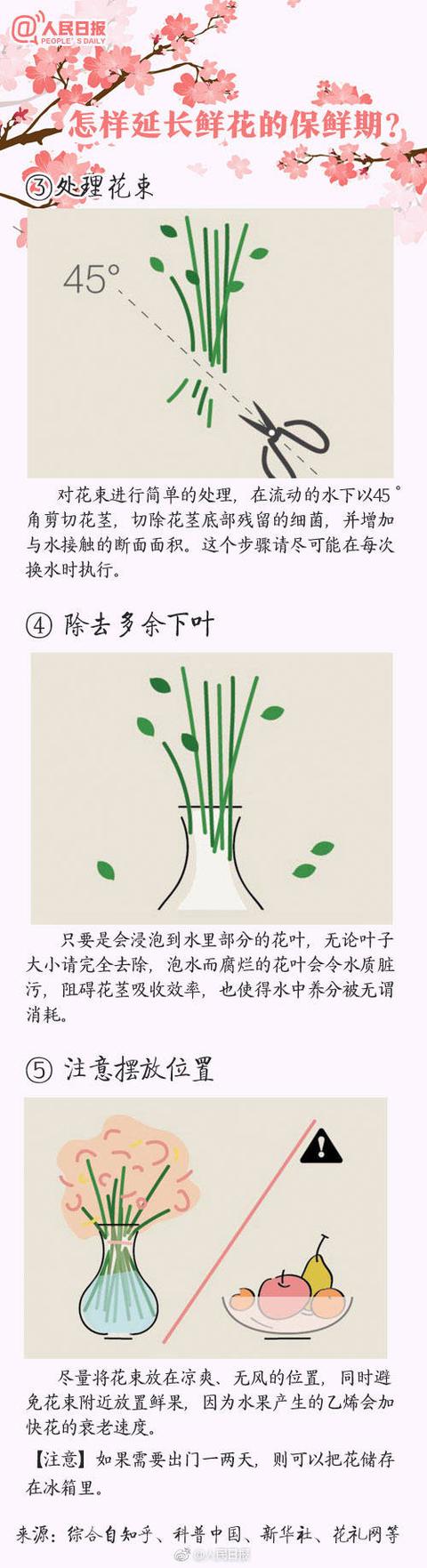 情人节该送什么礼物100种鲜花的花语，情人节送花就用它，转发买花收花都用得