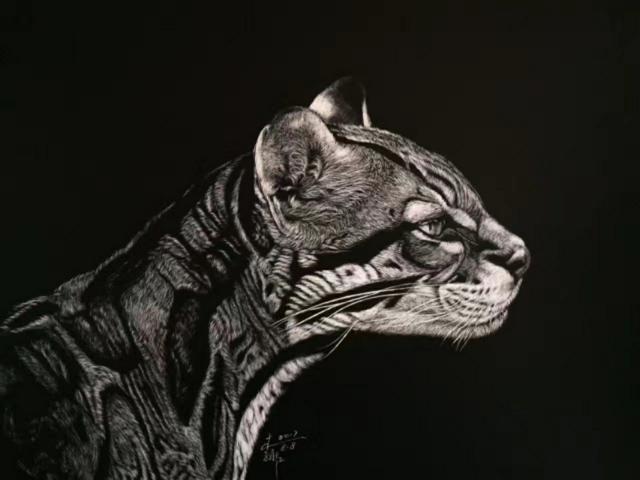 刮刮画作品大赏，刮画被他玩到极致