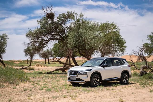 100%革新之作 阿拉善沙漠试驾全新一代奇骏