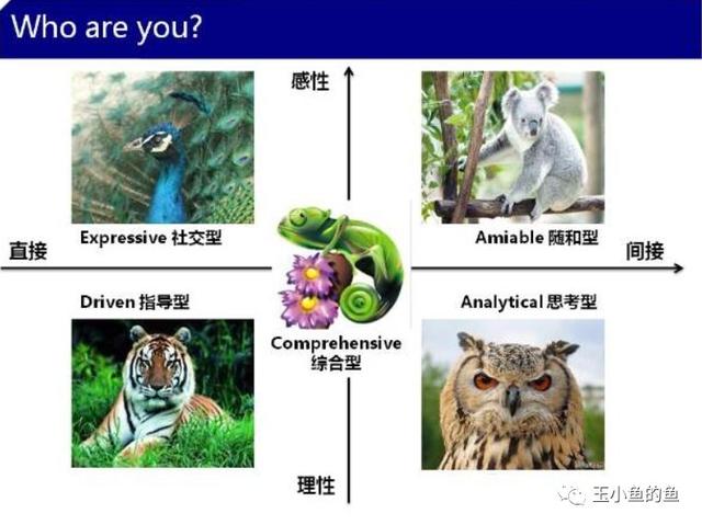 草溜直播