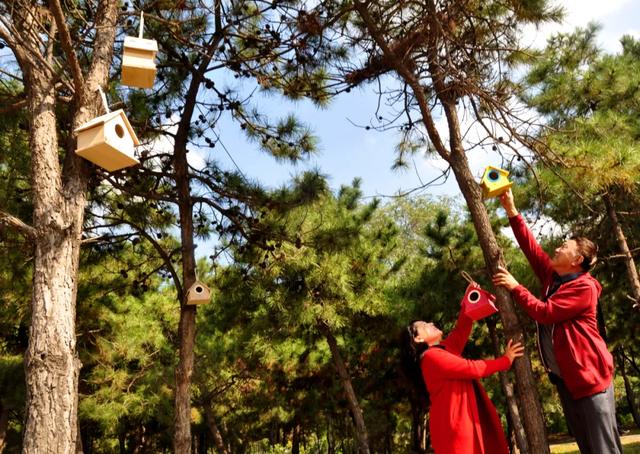 2020年“美丽中国，我是行动者” 主题摄影比赛微信投票通道正式开启