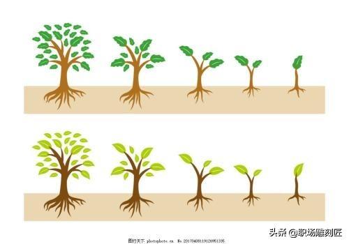 职场达人黄金法则，给你这6个黄金法则