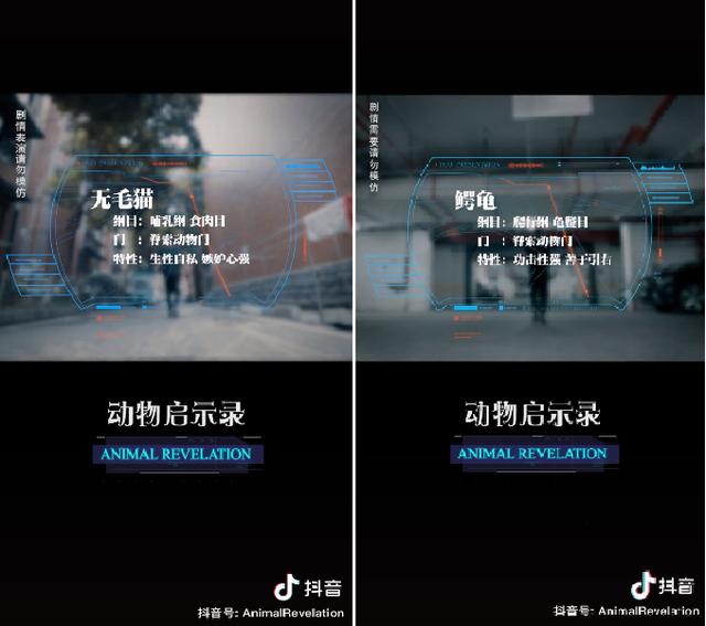 1周涨粉161w，它怎么用短视频给直播间持续导流？