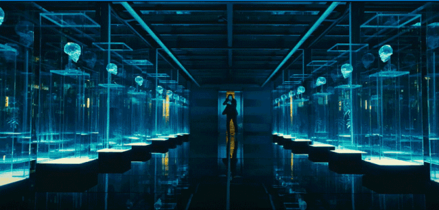 历届奥斯卡影后获奖时刻，致敬12位奥斯卡影后