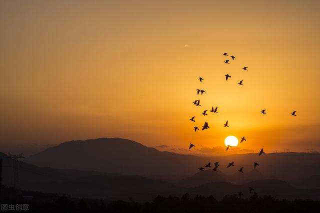 心死莫大于哀是什么意思，哀莫大于心死是什么意思