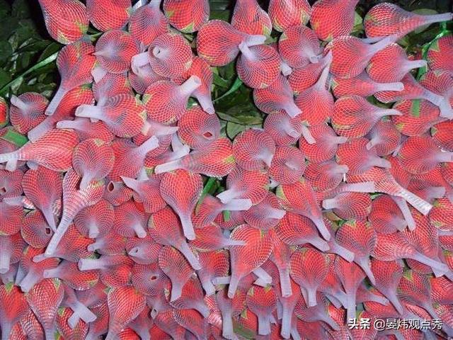 情人节送礼物为什么情人节要送玫瑰花？鲜花产业的秘密了解一下？