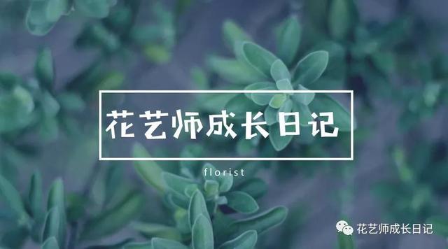 情人节送女孩什么礼物除了红玫瑰，七夕节我们还可以送哪些花表达爱？