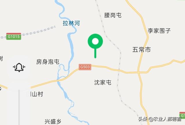 什么大米最好吃，五种公认好吃的东北大米（10种大米比较出名）