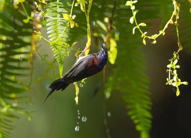 这个“十一”朋友圈里的云南又美出新高度