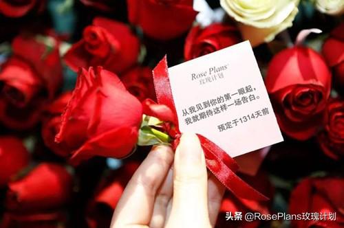 买什么生日礼物给女朋友,第一次女朋友过生日送什么礼物好