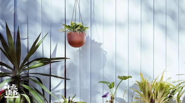 好的关系，不远不近不迎合