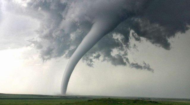 青海湖龙吸水事件（水里的鱼会被吸走吗）