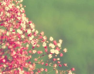情人节送男朋友什么发送给女友七夕贺卡祝福语