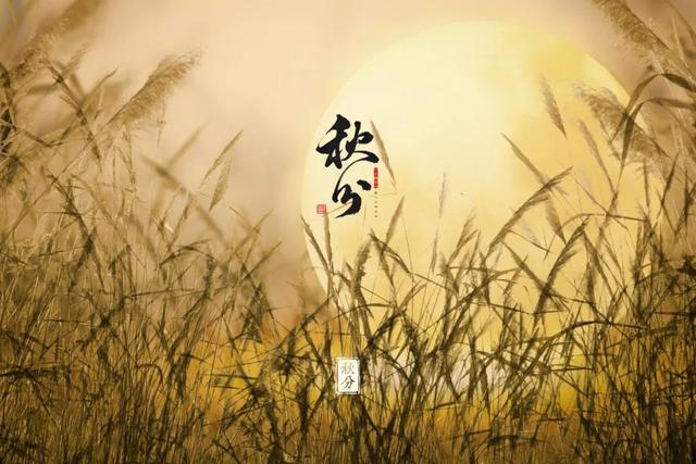关于秋分的诗句（10首最美的秋分古诗词）