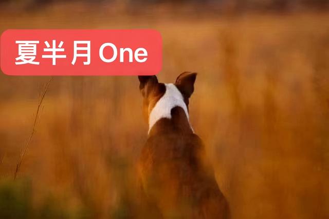 我把自己的秘密告诉闺蜜后，她竟然偷偷地申请加我老公微信好友