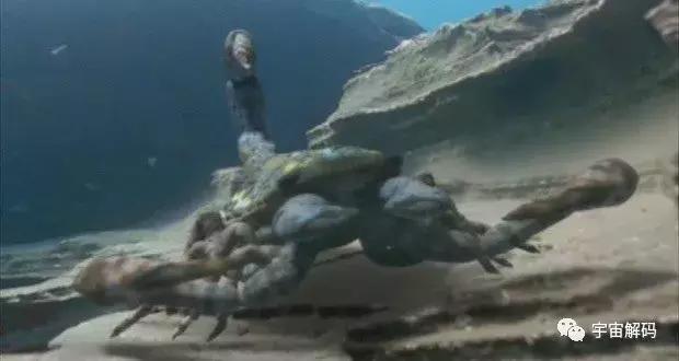 世界上最可怕的十大怪物，盘点地球史上十大巨型怪物