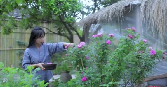 網紅李子柒：父母離異被收養，坎坷前行遇風口，與世無爭只是童話 娛樂八卦吃瓜 第4张