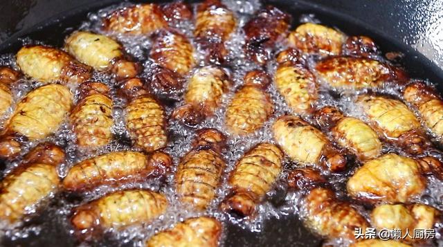 春天，這蟲子抓緊吃，高營養高蛋白，一斤100元，咬一口嘎嘣脆 熱愛美食 第10张